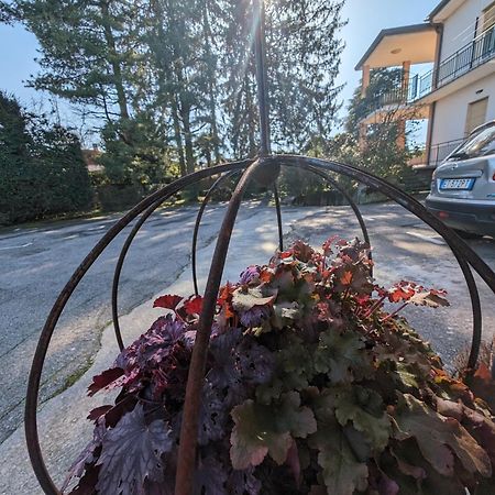 Paradeisos Residence Sas Somma Lombardo Kültér fotó
