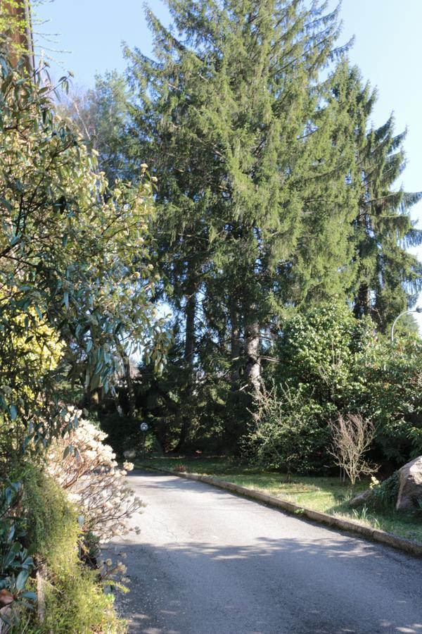 Paradeisos Residence Sas Somma Lombardo Kültér fotó